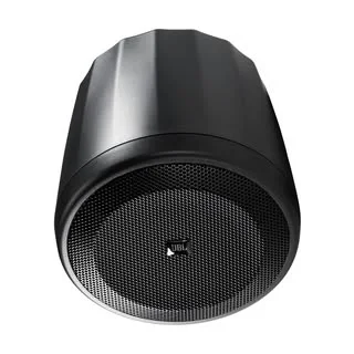 C65P/T Control 65P/T COMMERCIAL SOUND